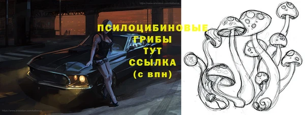 ECSTASY Заводоуковск