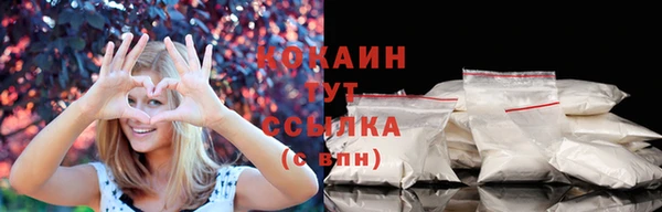 ECSTASY Заводоуковск