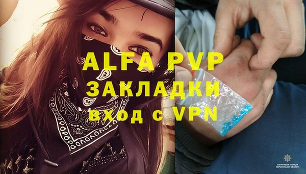 ECSTASY Заводоуковск