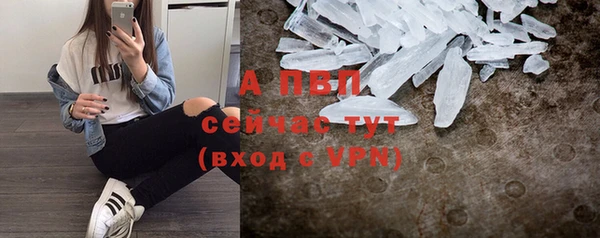 ECSTASY Заводоуковск