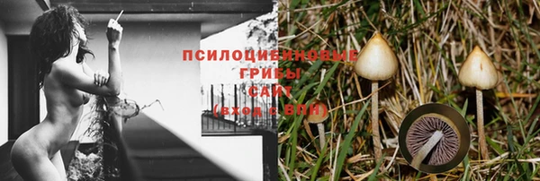 гидра Заволжск