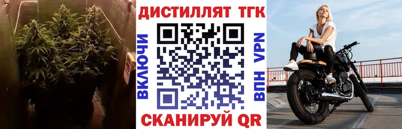 Дистиллят ТГК THC oil  Купить где  Белый 